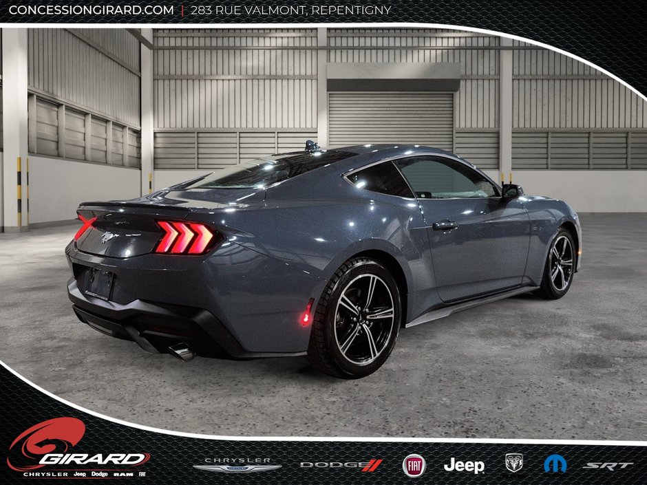 Ford Mustang Fastback 2024-5