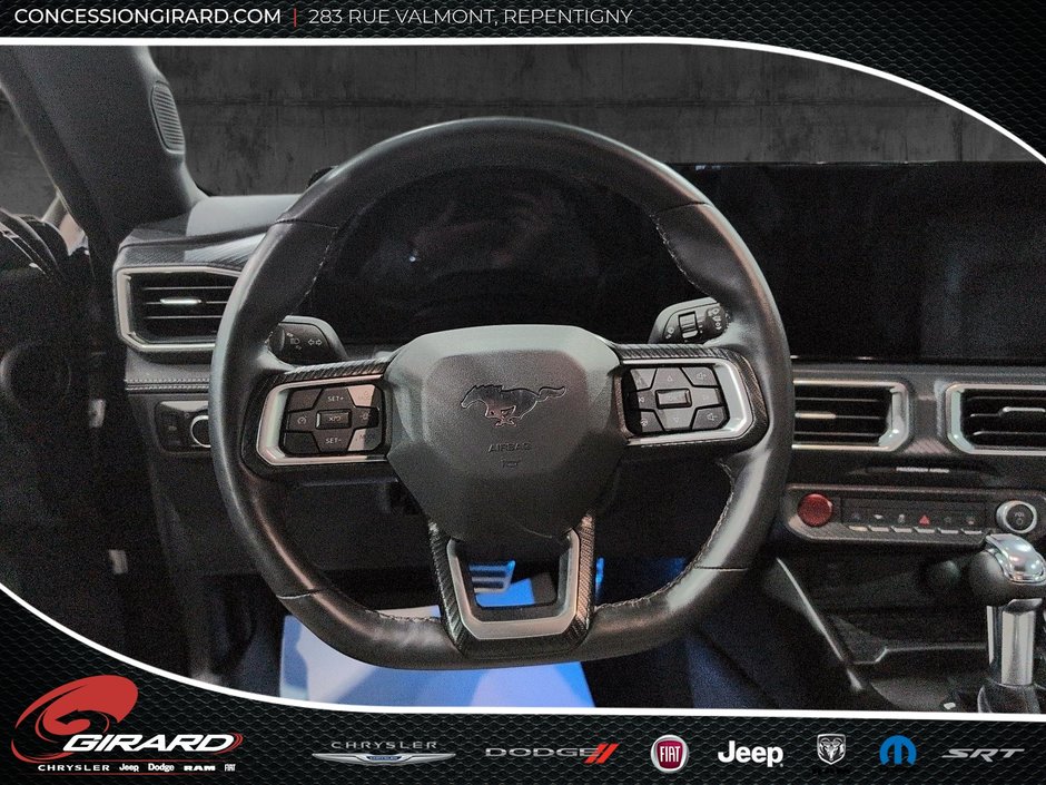 Ford Mustang Fastback 2024-15