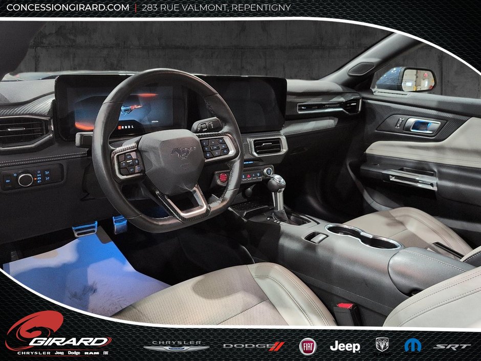 Ford Mustang Fastback 2024-11