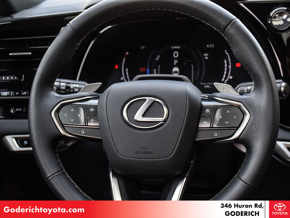 2024 Lexus RX 500h-16
