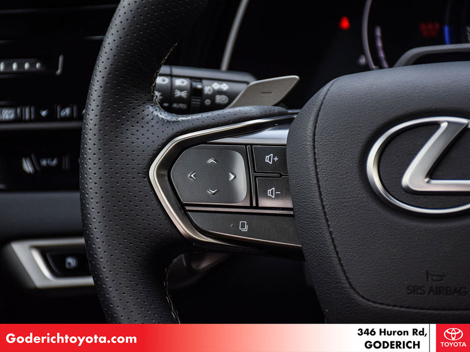 2024 Lexus RX 500h-14