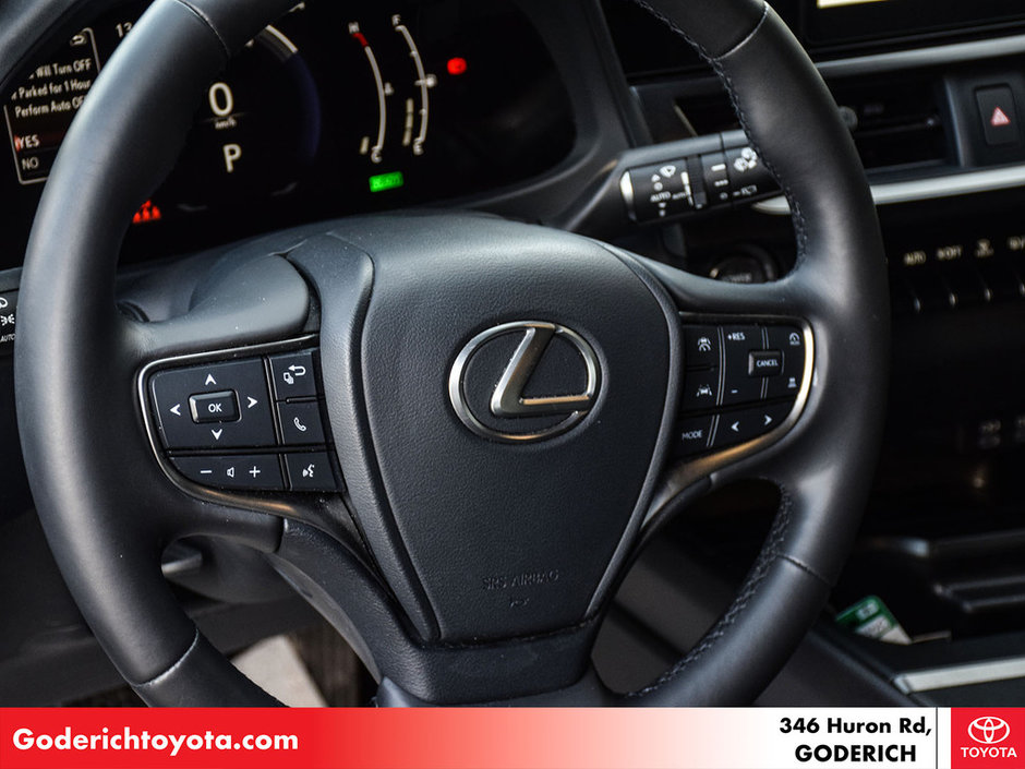 2025 Lexus UX 300h-16