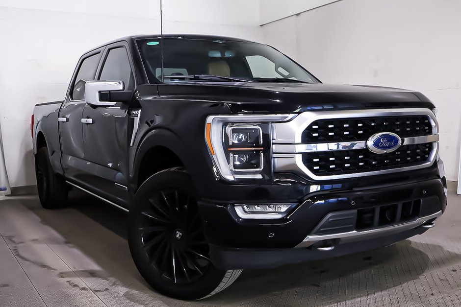 Ford F 150 PLATINUM + AWD + BOITE 6.5' + TOIT OUVRANT PANO 2023 à Terrebonne, Québec - w940px
