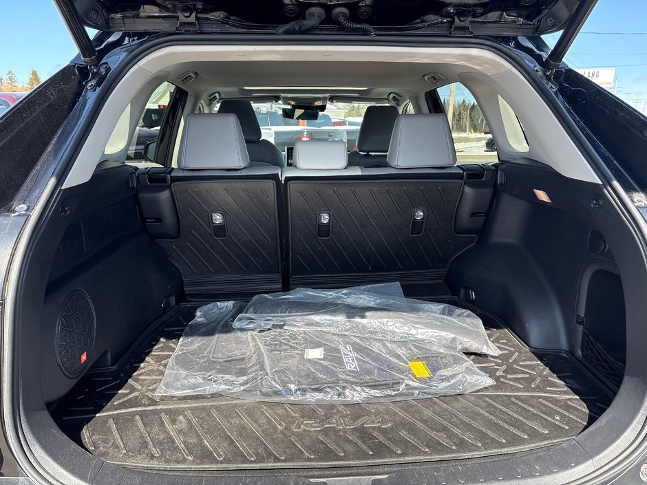 2020 Toyota RAV4 Hybrid Limited-14