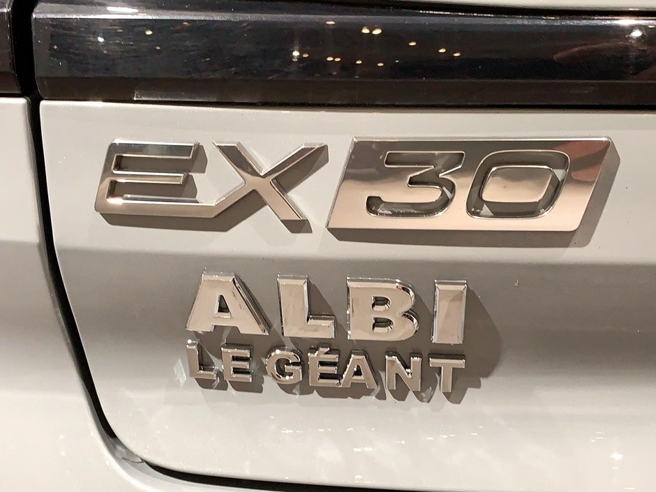 Volvo EX30 TWIN PLUS TOIT PANO 4RM 2025-21