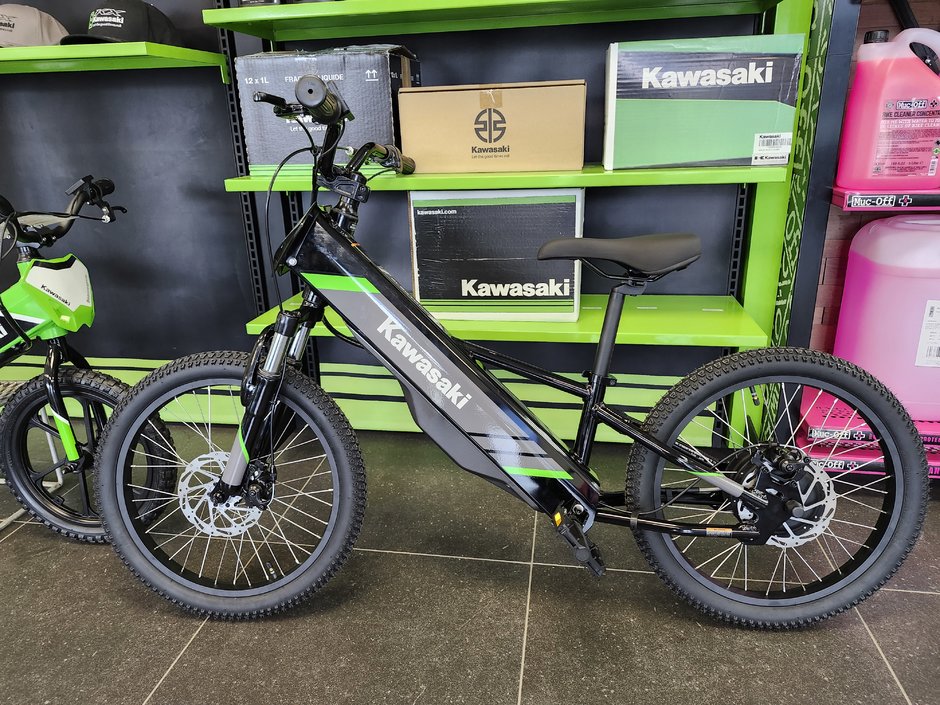 Kawasaki ELEKTRODE 20 Vélo pour enfant 2025