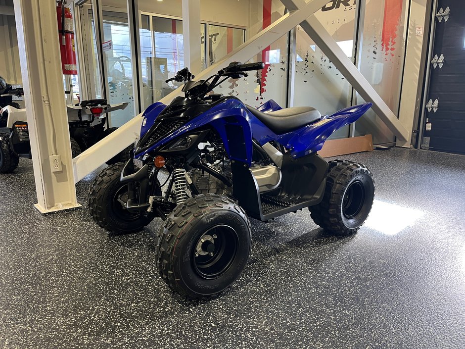 Yamaha Raptor 110R 2024