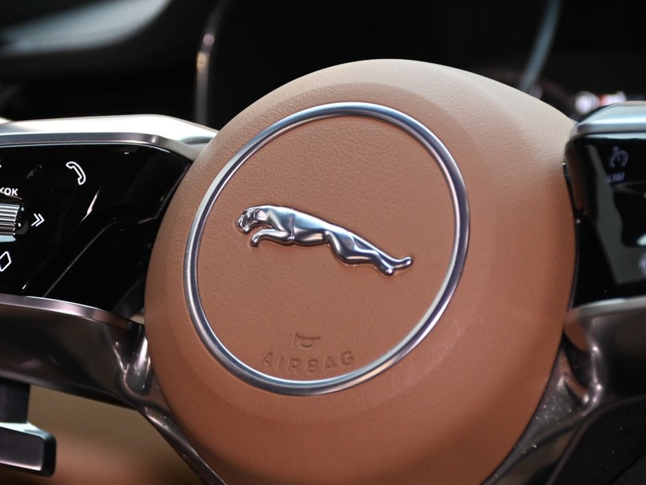 2022 Jaguar F-PACE P250 S-29