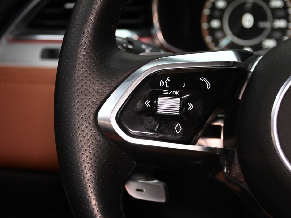 Jaguar F-PACE R-Dynamic S 2023-16