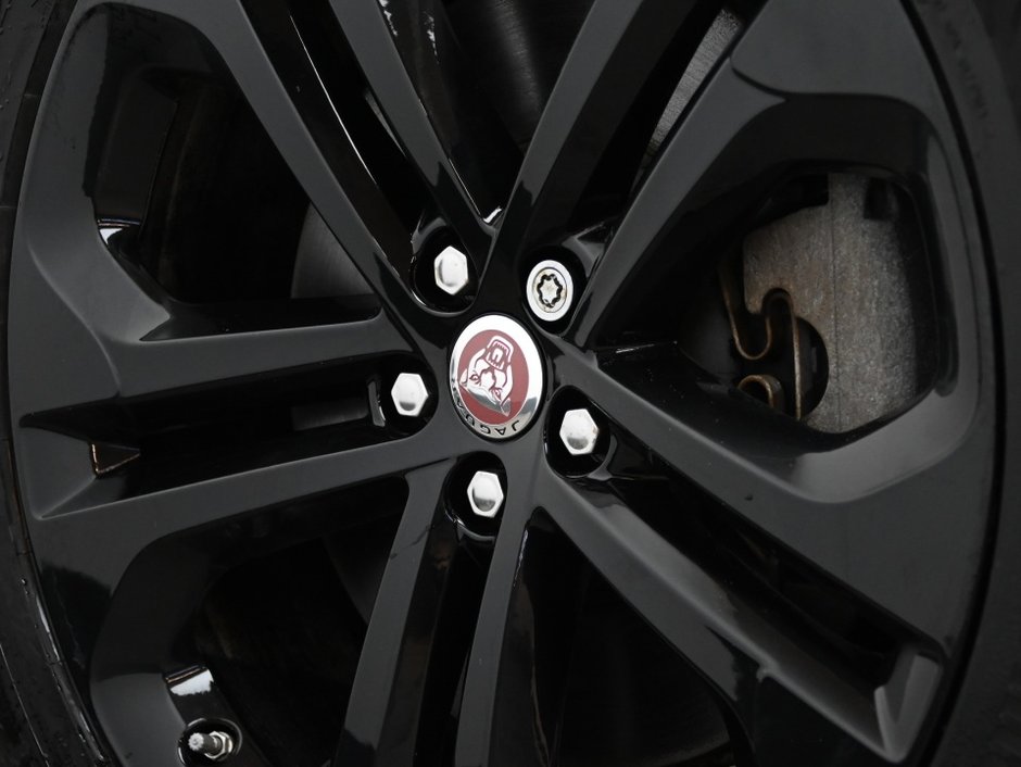 Jaguar F-PACE R-Dynamic S 2023-31