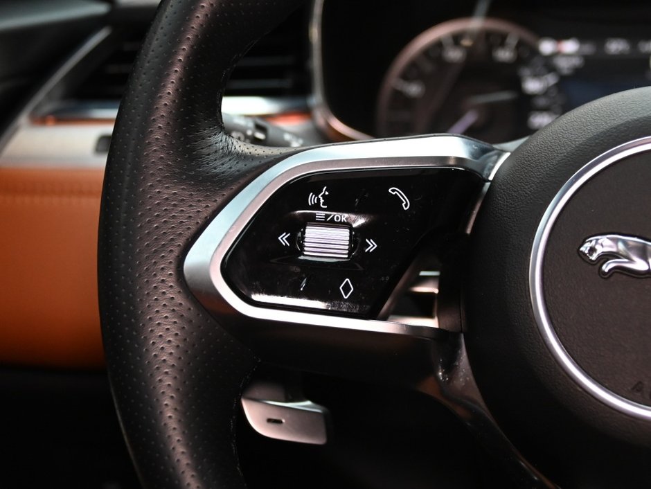 Jaguar F-PACE R-Dynamic S 2023-16