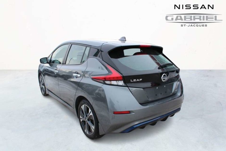 Nissan Leaf  2019-5