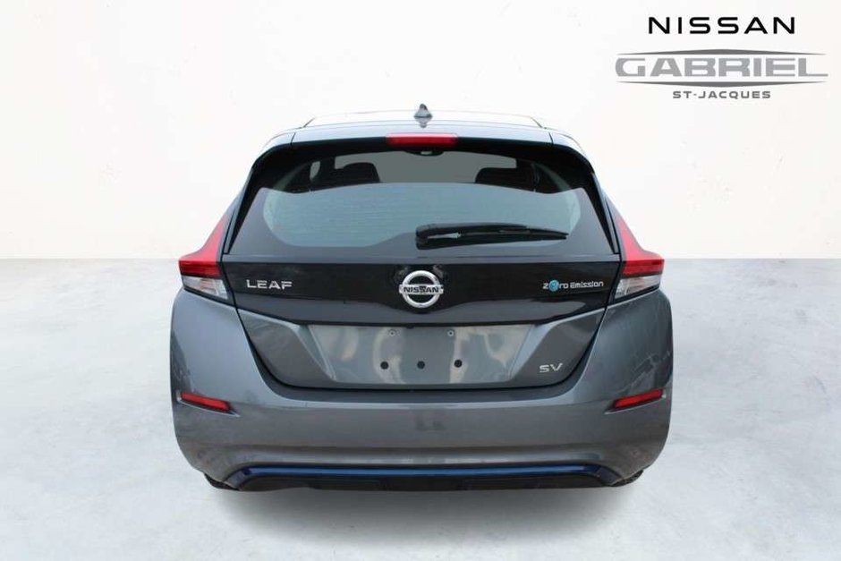 Nissan Leaf  2019-4
