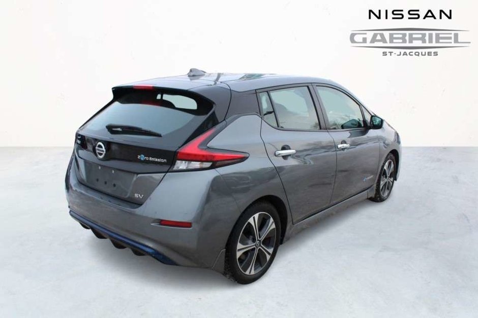 Nissan Leaf  2019-3