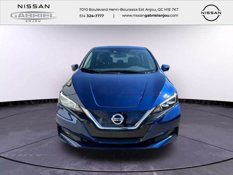 Nissan Leaf  2020-1