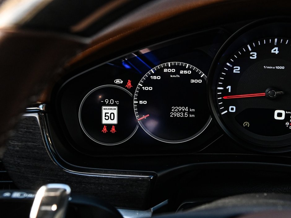 2023 Porsche Panamera 4 PLATINUM/SPORT DESIGN PACK/ASSISTANCE PACK-23