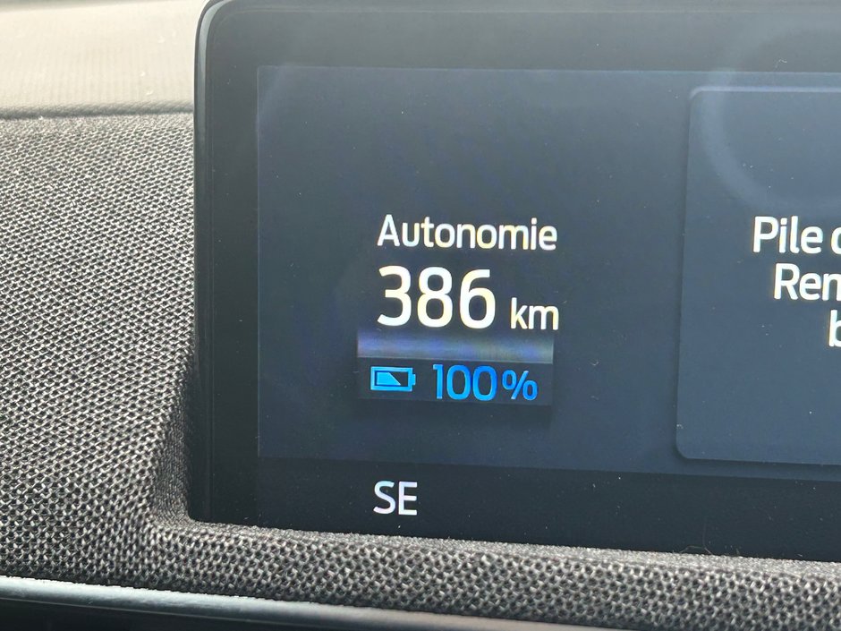 Ford Mustang Mach-E Premium 2021-11