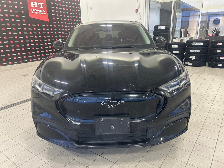 Ford Mustang Mach-E Premium 2021-2