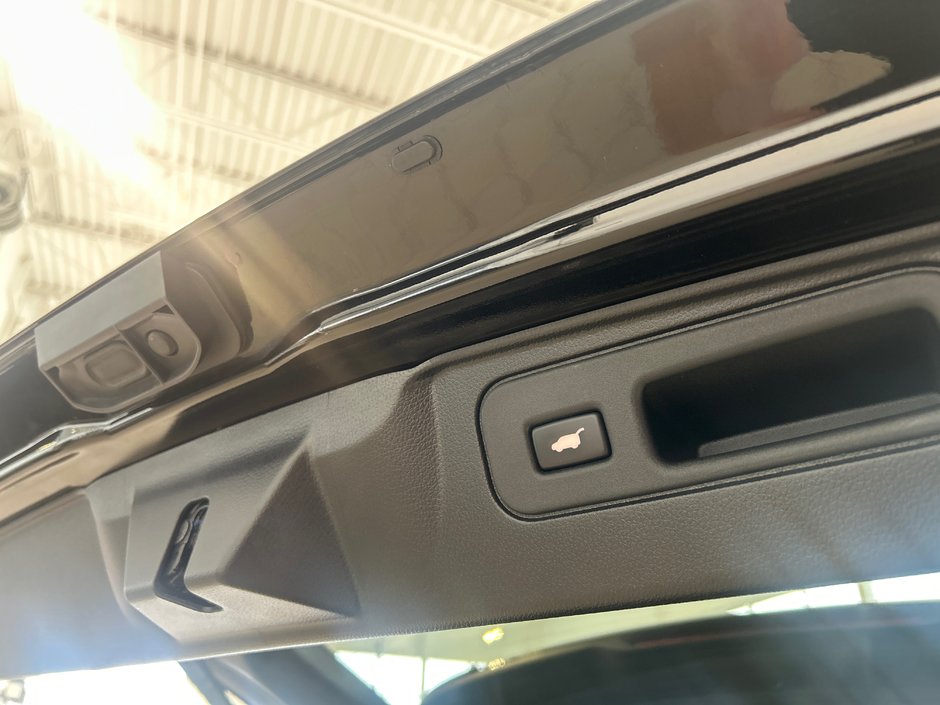 Honda Passport Black Edition 2024-11