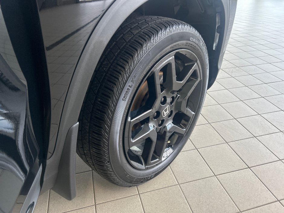 Honda Passport Black Edition 2024-20