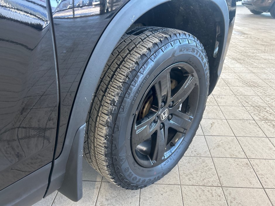 Honda Ridgeline Black Edition 2023-18