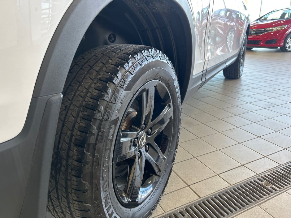 Honda Ridgeline Black Edition 2023-14