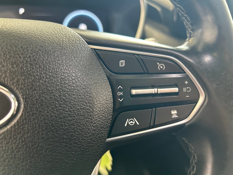 2021 Hyundai Santa Fe Hybrid Luxury-30