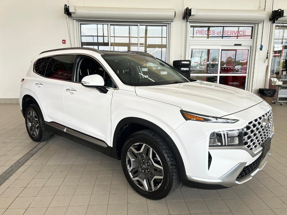 2021 Hyundai Santa Fe Hybrid Luxury-3