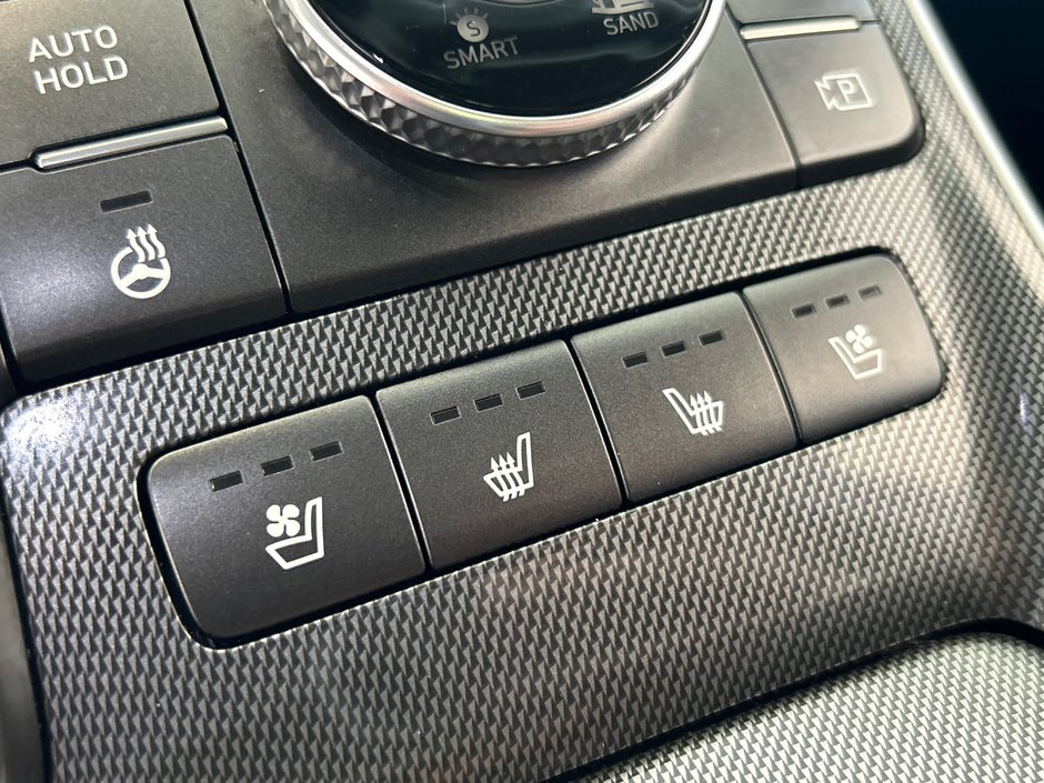 2021 Hyundai Santa Fe Hybrid Luxury-27