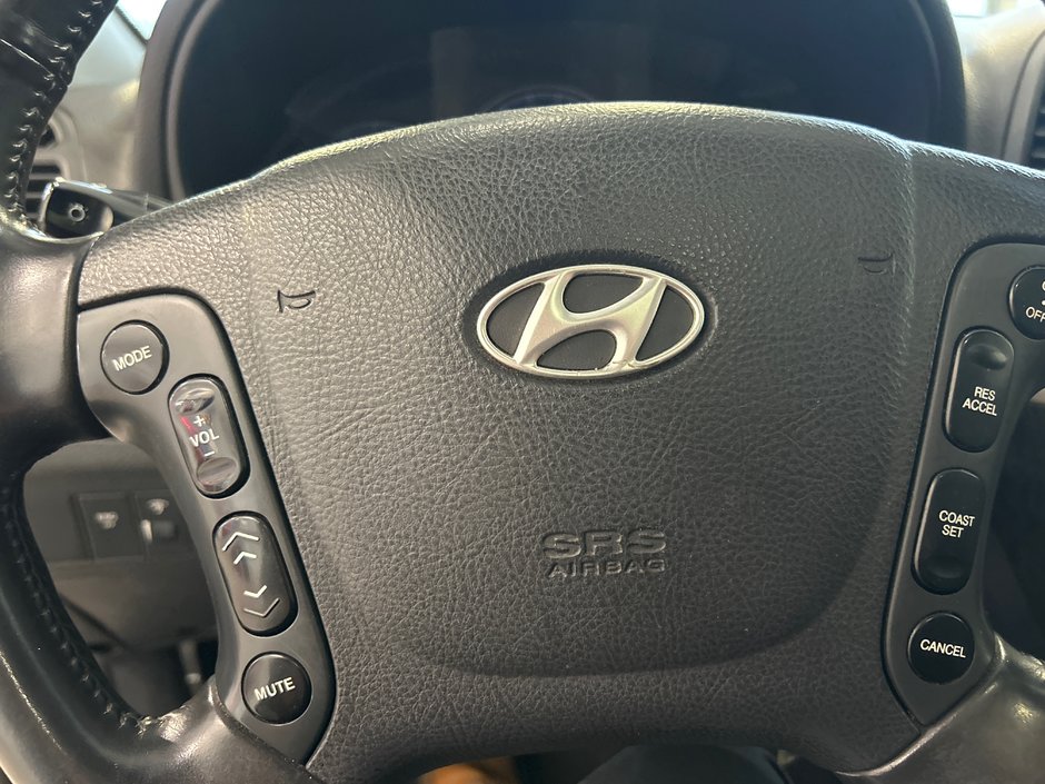 2007 Hyundai Santa Fe-19