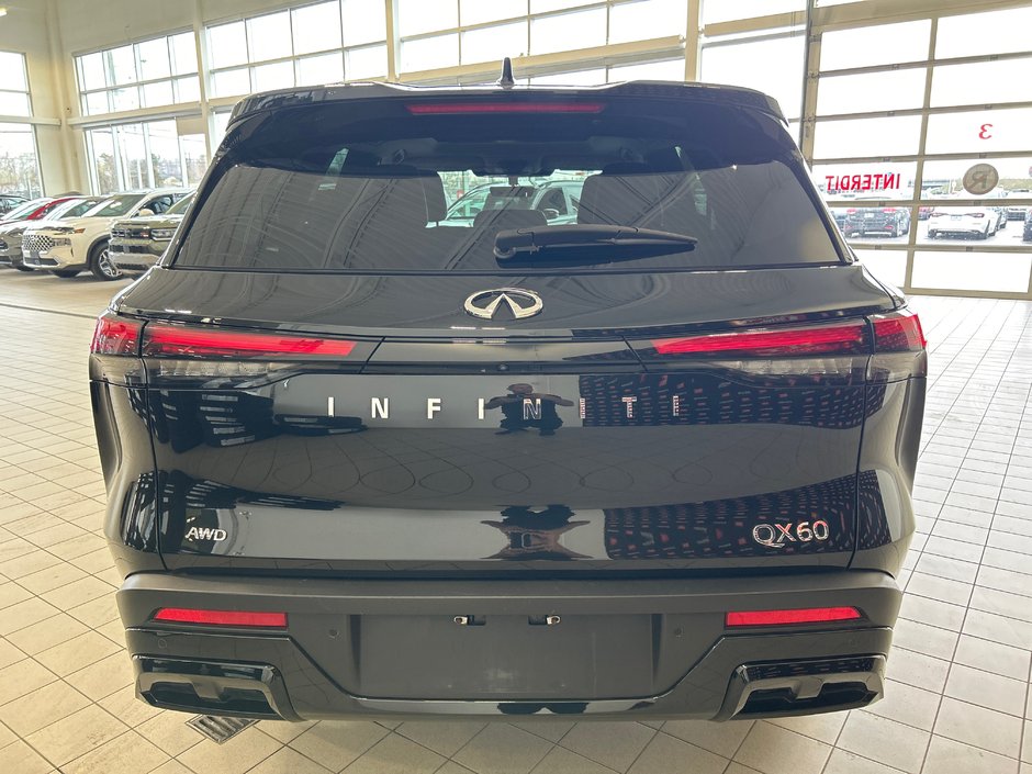2023 Infiniti QX60 PURE-6