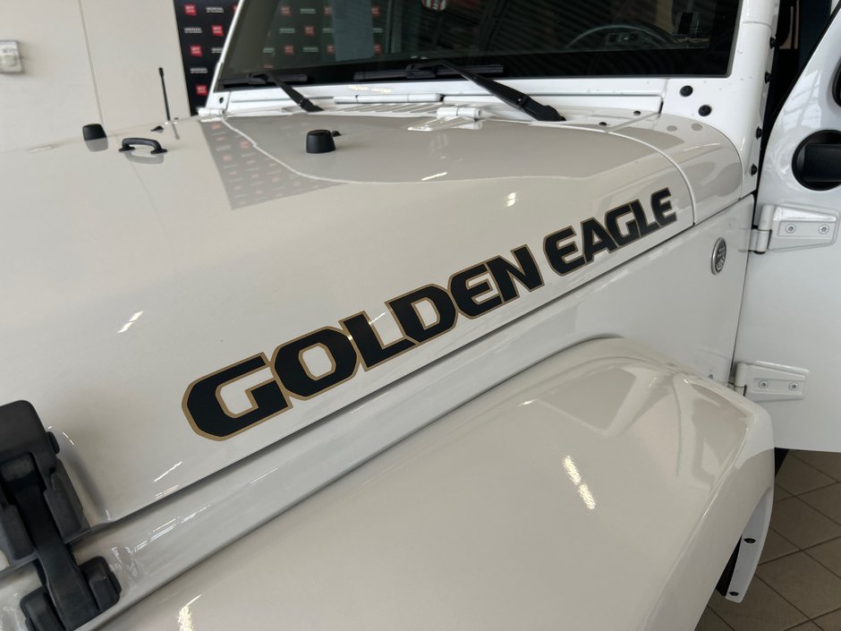 2018 Jeep Wrangler JK Unlimited Golden Eagle-19