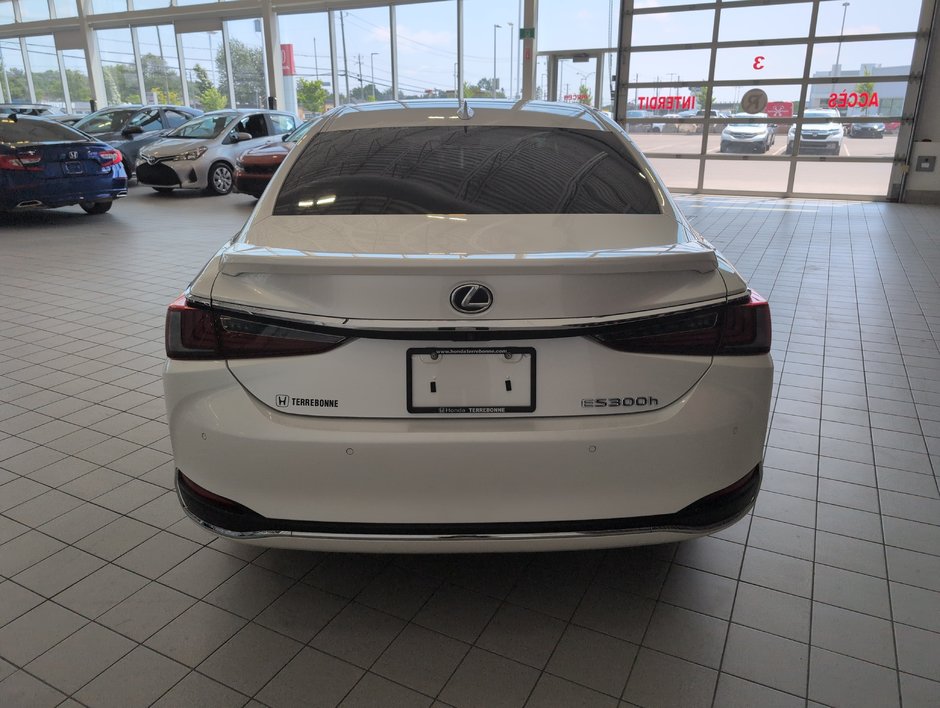 Lexus ES 300h 2019-5