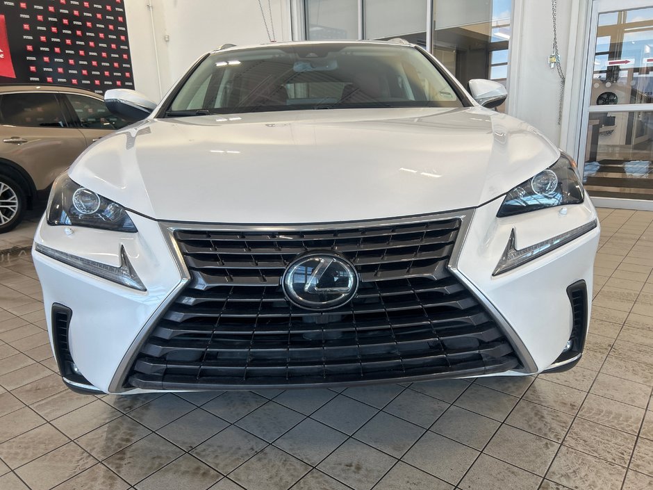 2021 Lexus NX 300-3