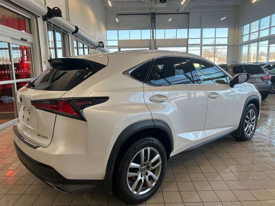 2021 Lexus NX 300-6