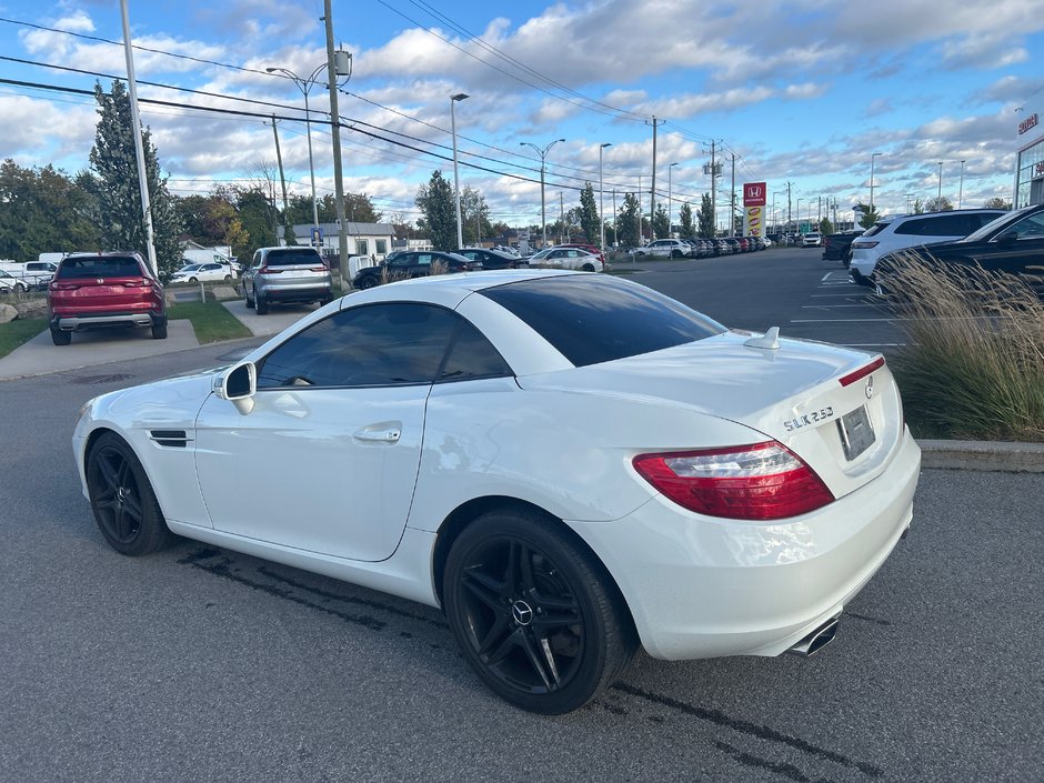 2013 Mercedes-Benz SLK-Class SLK 250-16
