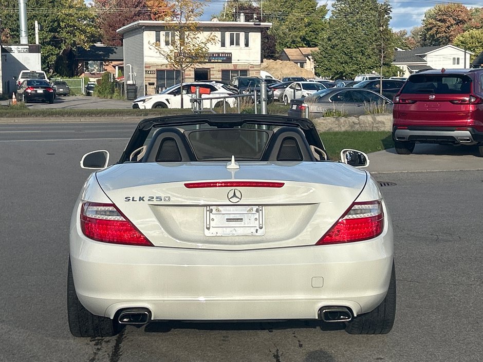 2013 Mercedes-Benz SLK-Class SLK 250-3