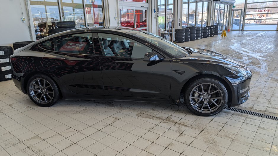 2020 Tesla Model 3 Standard Range Plus-3