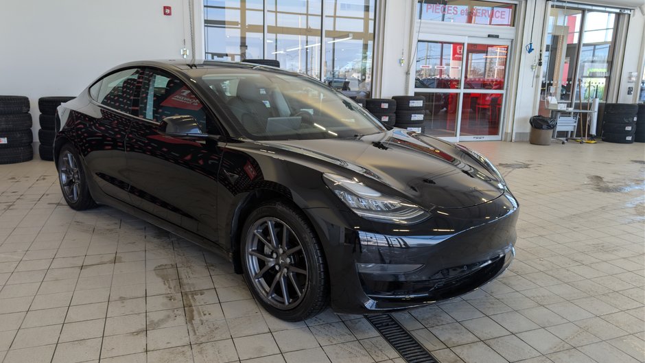 2020 Tesla Model 3 Standard Range Plus-2
