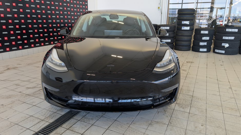 2020 Tesla Model 3 Standard Range Plus-1