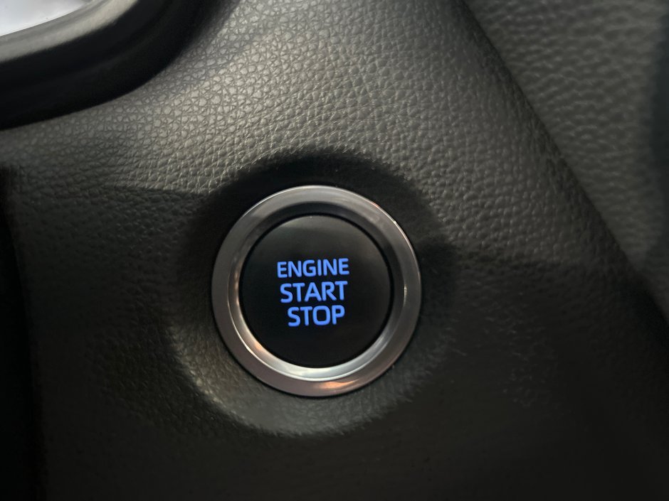 Toyota Corolla LE 2021-21