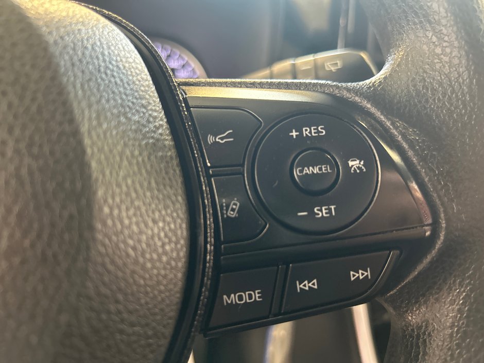 2019 Toyota RAV4 LE-21