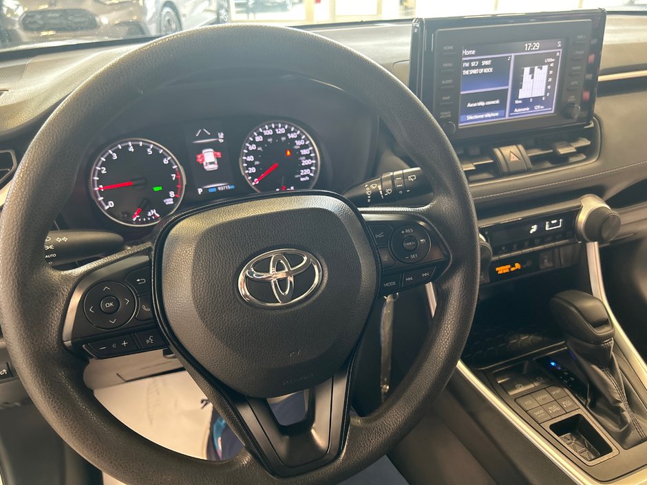 2019 Toyota RAV4 LE-24