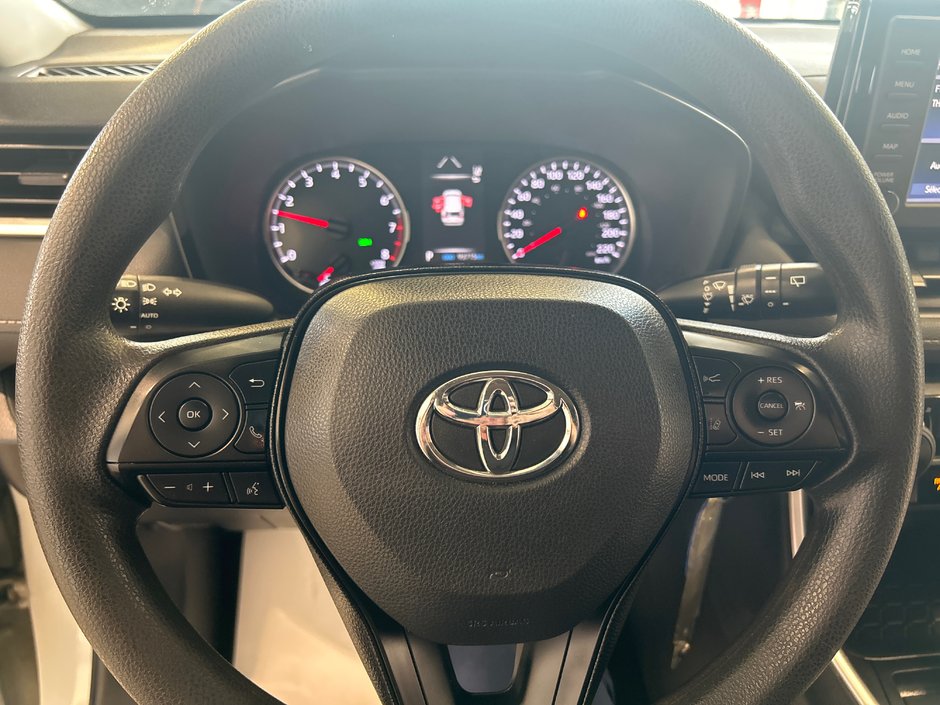 2019 Toyota RAV4 LE-19