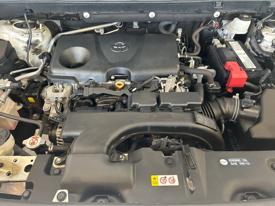 2019 Toyota RAV4 LE-13