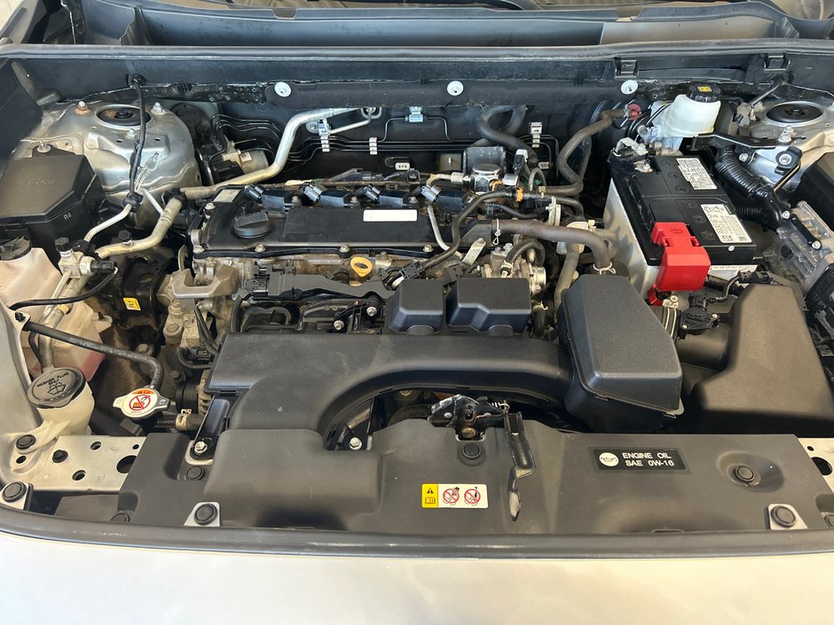 Toyota RAV4 LE 2022-14