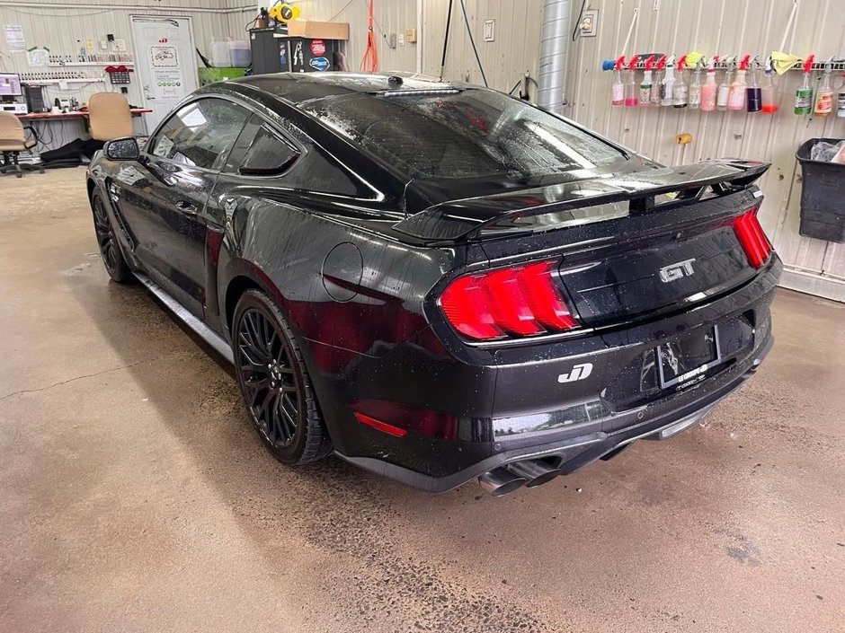 Mustang best sale zapatos 2019