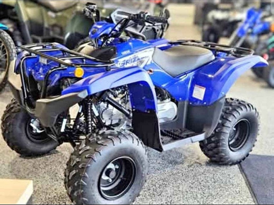 Yamaha GRIZZLY 110  2025