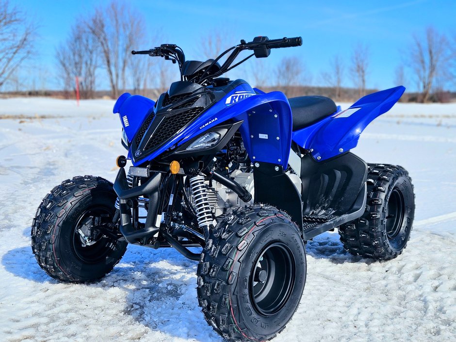 Yamaha RAPTOR 110  0
