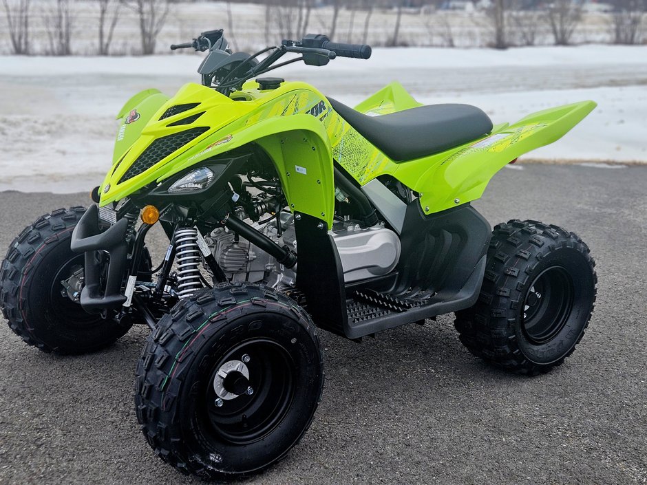 2026 Yamaha RAPTOR 110